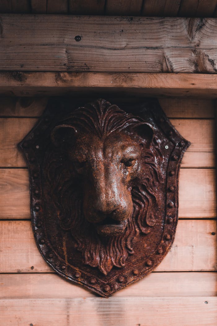 Close-up of a rusty lion head sculpture mounted on a wooden wall, showcasing rustic aesthetics.